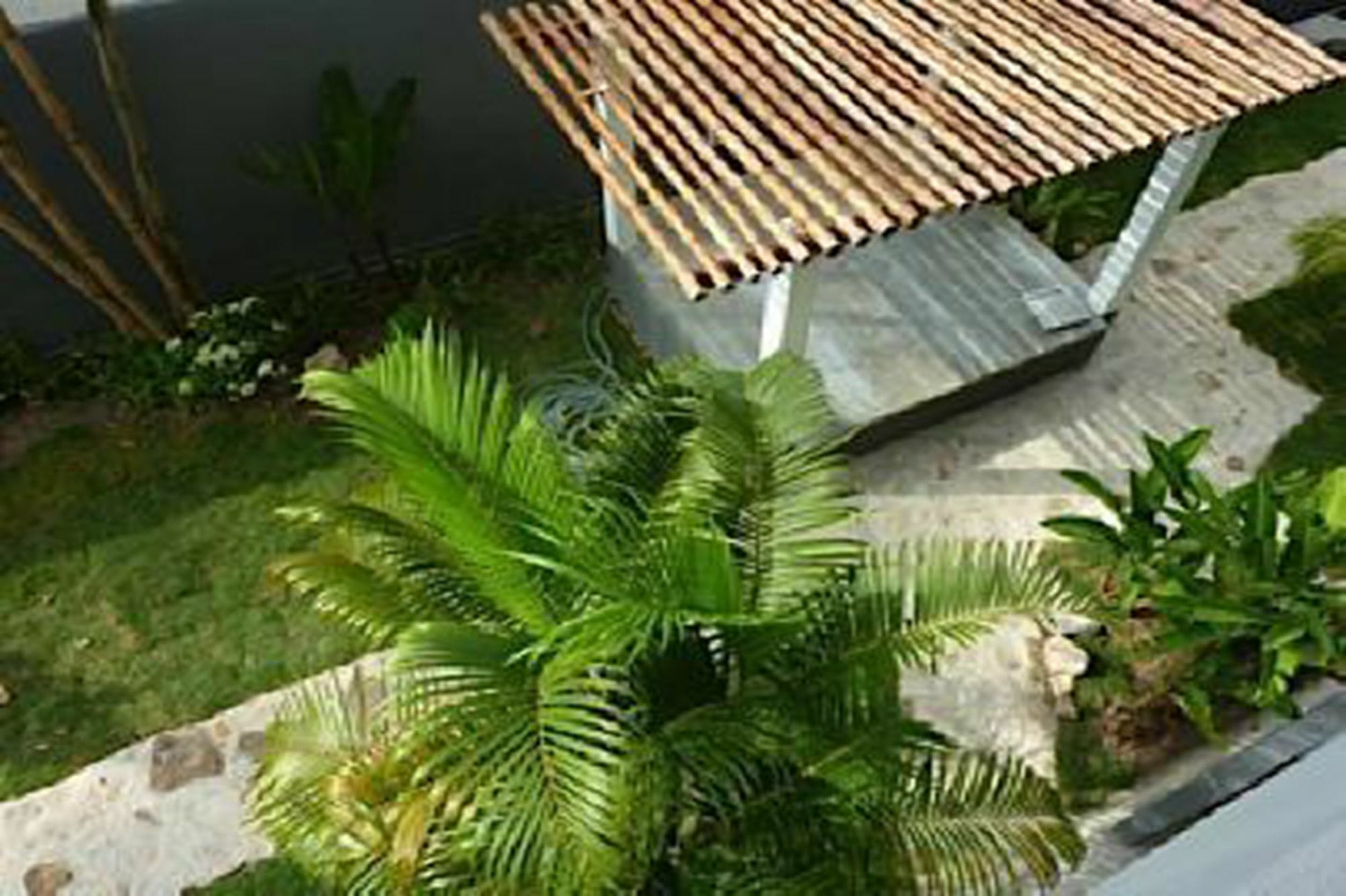 Sairee Sairee Guesthouse Koh Tao Eksteriør billede