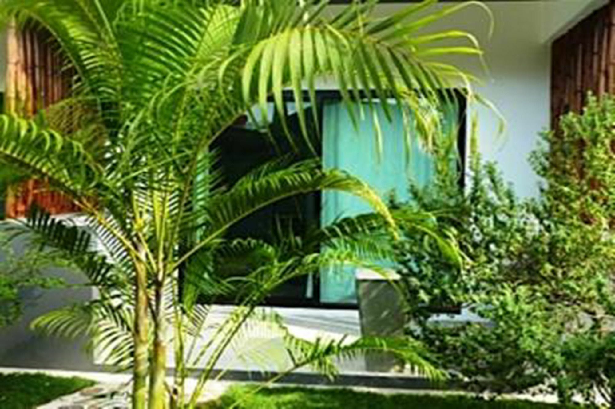 Sairee Sairee Guesthouse Koh Tao Eksteriør billede